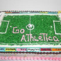 Soccer Field Cake